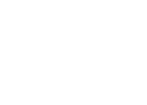 DSI Logo